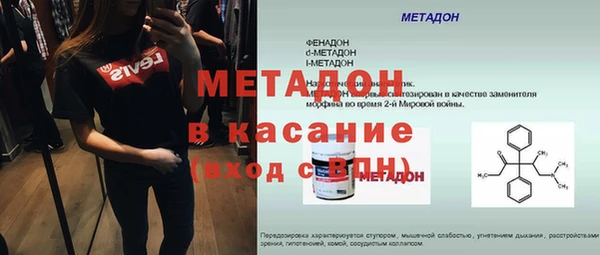 прущие грибы Бородино