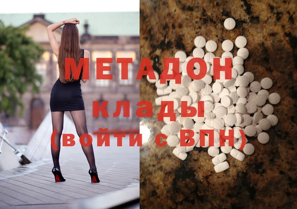 прущие грибы Бородино