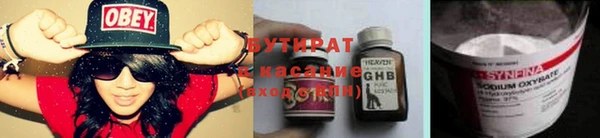 прущие грибы Бородино