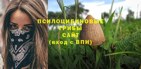mdpv Бронницы