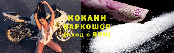 прущие грибы Бородино