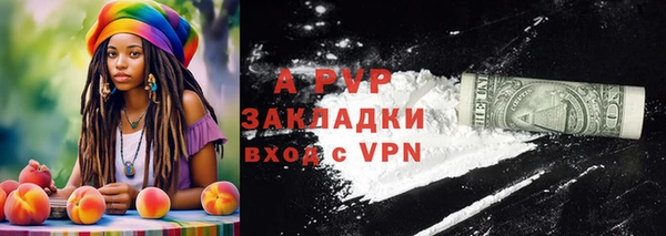 прущие грибы Бородино